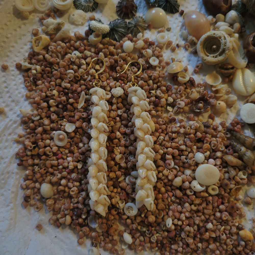 Momi Shell Earrings - image 1